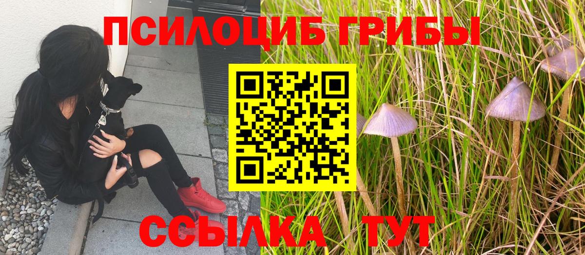 Псилоцибиновые грибы прущие грибы  закладка  Ивантеевка  Вход с VPN  Галлюциногенные грибы Magic Shrooms 